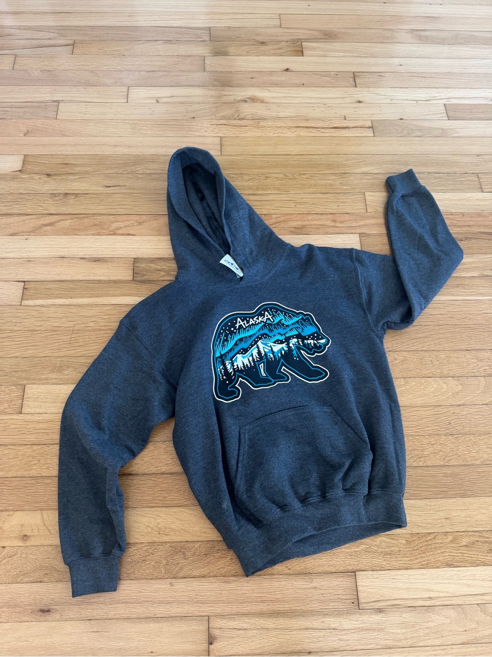 Gildan Heavy Blend Alaska Bear Dark Gray Hoodie Sweatshirt